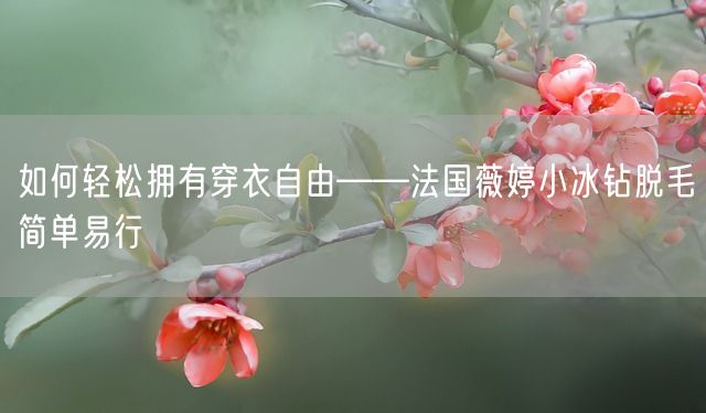 如何轻松拥有穿衣自由——法国薇婷小冰钻脱毛简单易行(图1)