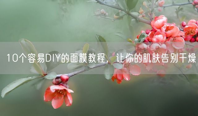 10个容易DIY的面膜教程，让你的肌肤告别干燥(图1)