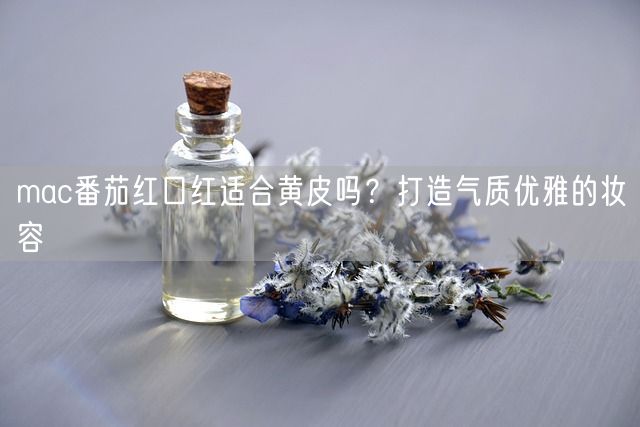 mac番茄红口红适合黄皮吗？打造气质优雅的妆容(图1)