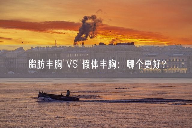 脂肪丰胸 VS 假体丰胸：哪个更好？(图1)