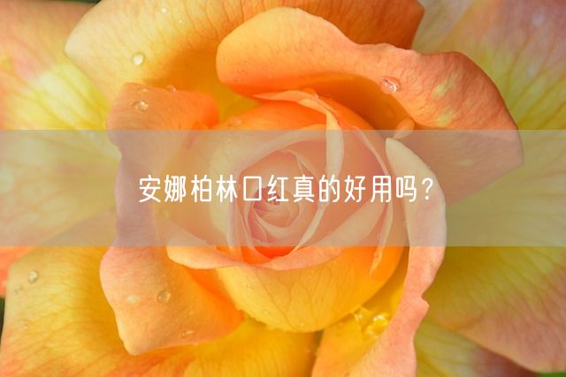 安娜柏林口红真的好用吗？(图1)