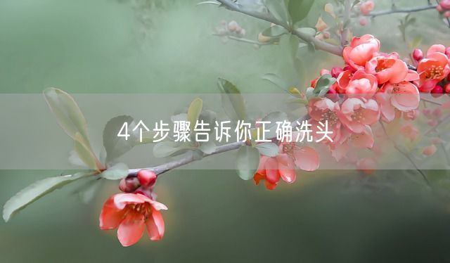 4个步骤告诉你正确洗头(图1)