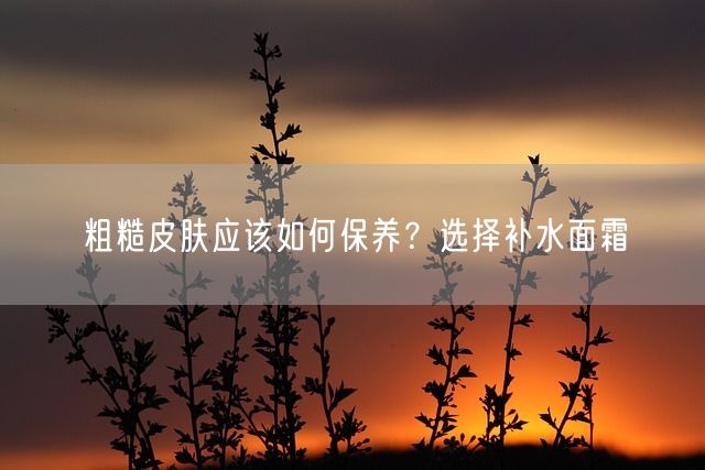 粗糙皮肤应该如何保养？选择补水面霜(图1)