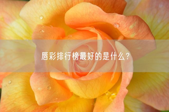 唇彩排行榜最好的是什么？(图1)