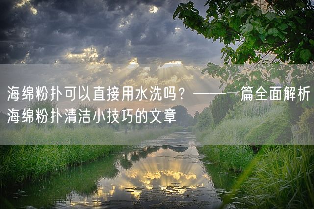 海绵粉扑可以直接用水洗吗？——一篇全面解析海绵粉扑清洁小技巧的文章(图1)