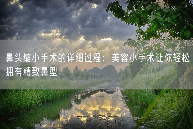 鼻头缩小手术的详细过程：美容小手术让你轻松拥有精致鼻型(图1)