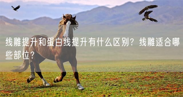 线雕提升和蛋白线提升有什么区别？线雕适合哪些部位？(图1)