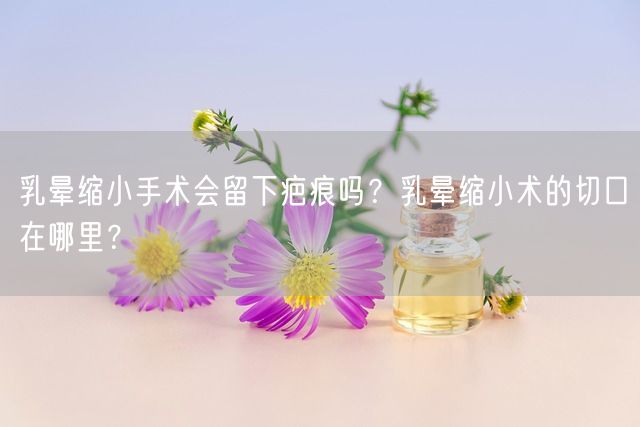 乳晕缩小手术会留下疤痕吗？乳晕缩小术的切口在哪里？(图1)