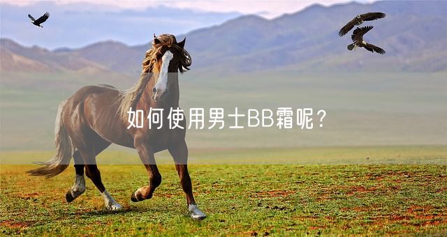 如何使用男士BB霜呢？(图1)