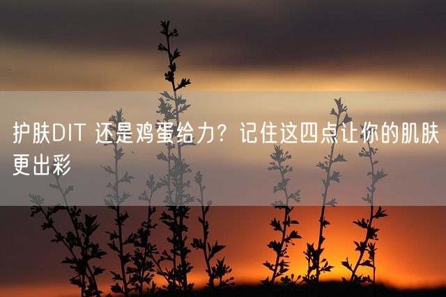 护肤DIT 还是鸡蛋给力？记住这四点让你的肌肤更出彩(图1)