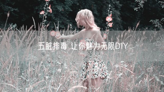 五脏排毒 让你魅力无限DIY(图1)