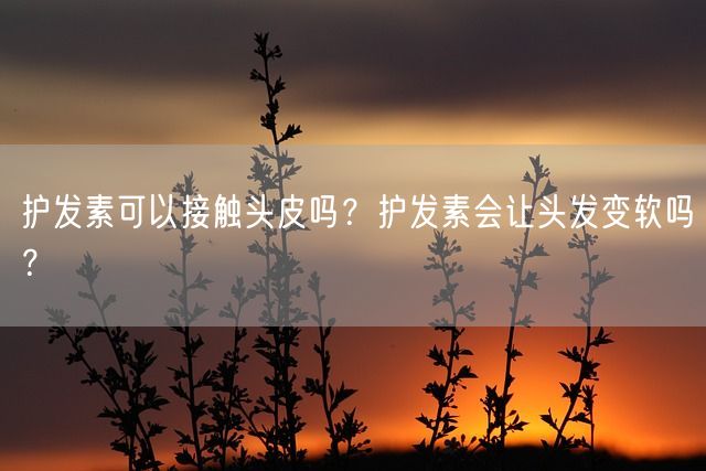 护发素可以接触头皮吗？护发素会让头发变软吗？(图1)