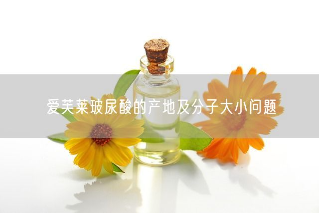 爱芙莱玻尿酸的产地及分子大小问题(图1)