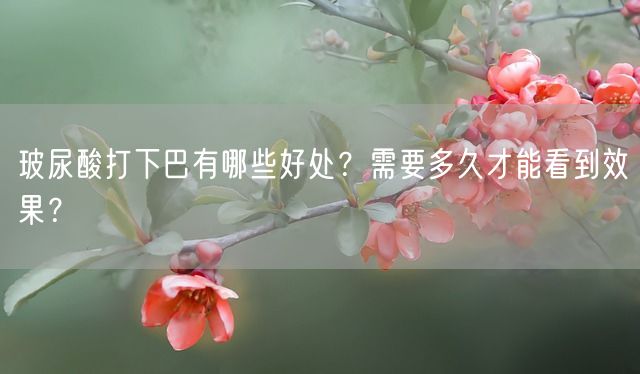 玻尿酸打下巴有哪些好处？需要多久才能看到效果？(图1)