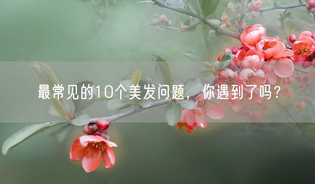 最常见的10个美发问题，你遇到了吗？(图1)