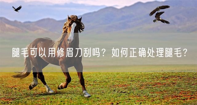 腿毛可以用修眉刀刮吗？如何正确处理腿毛？(图1)